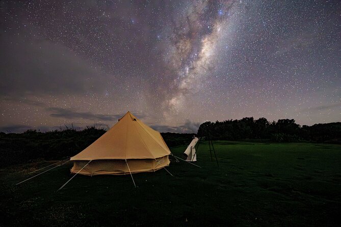 Nocturnal Wonders Tawharanui Kiwi Spotting and Stargazing Tour - Is three hours enough?