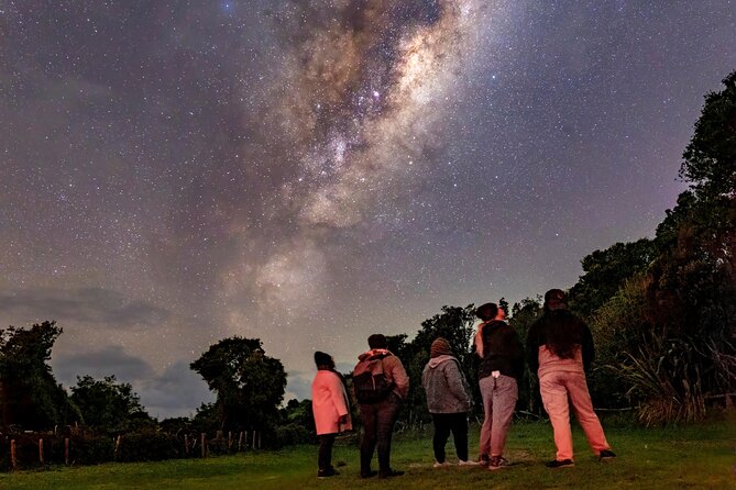 Nocturnal Wonders Tawharanui Kiwi Spotting and Stargazing Tour - Who will enjoy this most?