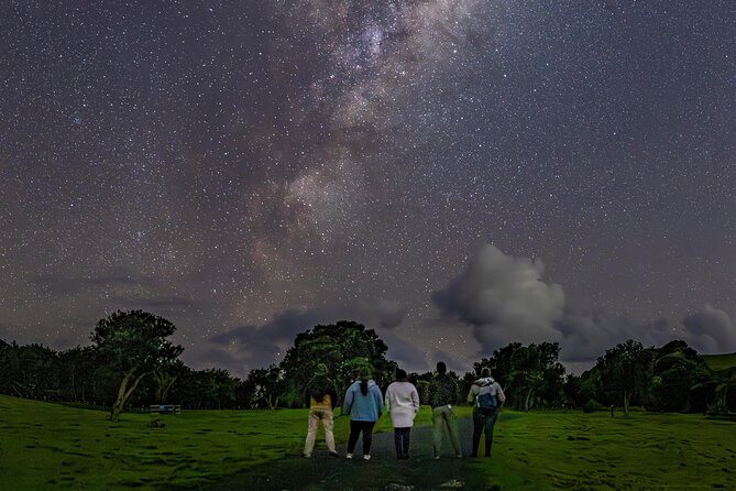 Nocturnal Wonders Tawharanui Kiwi Spotting and Stargazing Tour - Following kiwi signs through the native bush