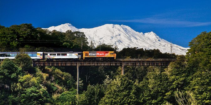Northern Explorer Train Journey from Auckland to Wellington - Food, drinks, and a sensible picnic