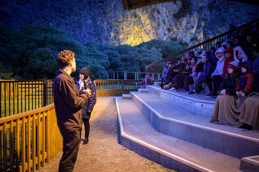 Oamaru: Penguins Evening Viewing Ticket - Who will enjoy this most?