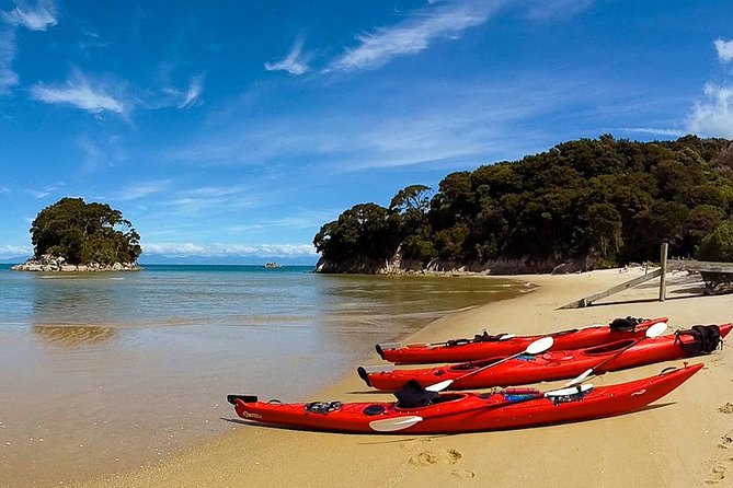 Oarsome Marine Reserve Kayak Tour - What the $198.58 price gets you