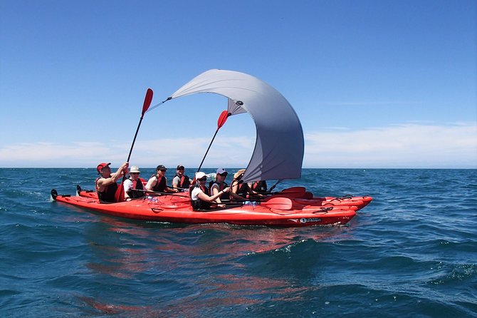 Oarsome Marine Reserve Kayak Tour - From Marahau to Tonga Island Marine Reserve