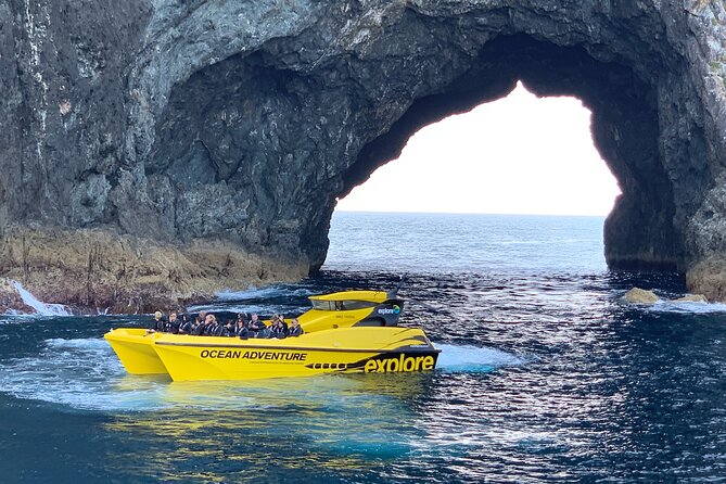 Ocean Adventure: Fast Boat to the Hole in the Rock - Motukōkako Island and the Hole in the Rock