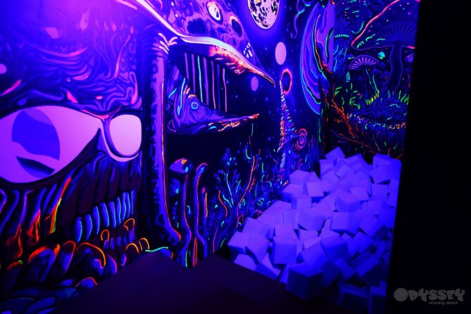 Odyssey Sensory Maze Entry Auckland Ticket - Who Will Enjoy It Most?