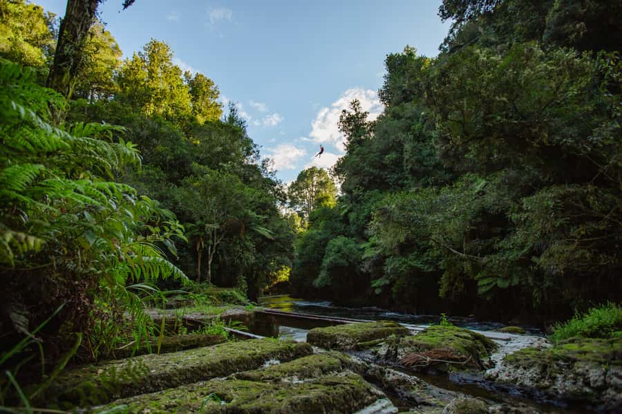 Okere Falls: Zipline over Waterfalls Experience - Key things to know before you go