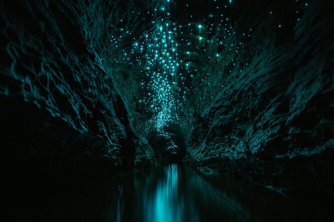 Okohua Glowworm Cave Adventure - Why this Waitomo cave trip feels different