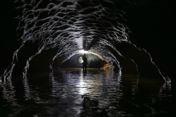 Okohua Glowworm Cave Adventure - The return through native bush