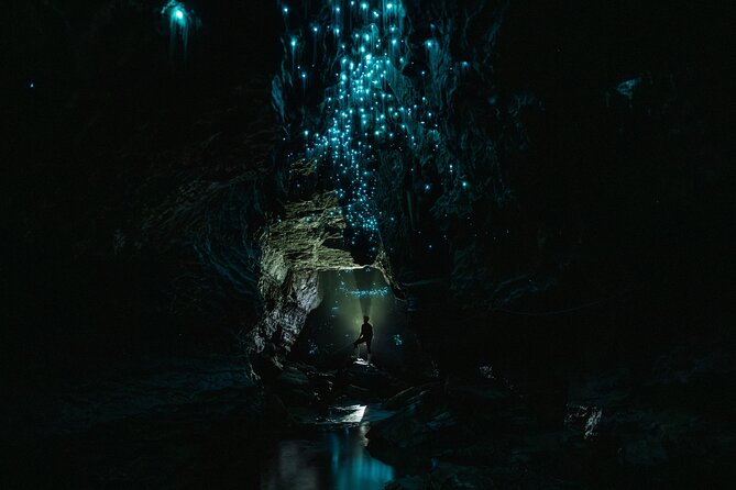 Okohua Glowworm Cave Adventure - Is $141.58 a fair price?