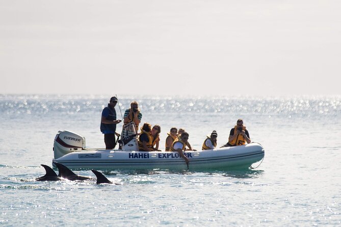 One Hour Cathedral Cove Boat Tour in Hahei - The essential details at a glance