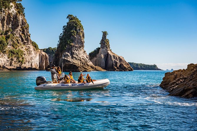 One Hour Cathedral Cove Boat Tour in Hahei - The short Cathedral Cove crossing
