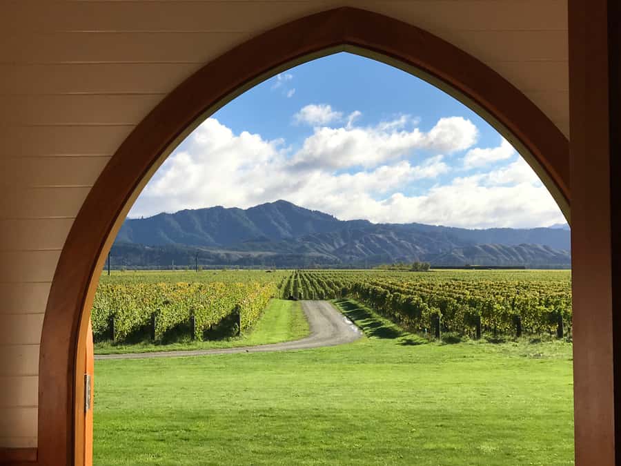 Onshore Highlights of Marlborough's Wine Region from Picton - Makana chocolate is an excellent final stop