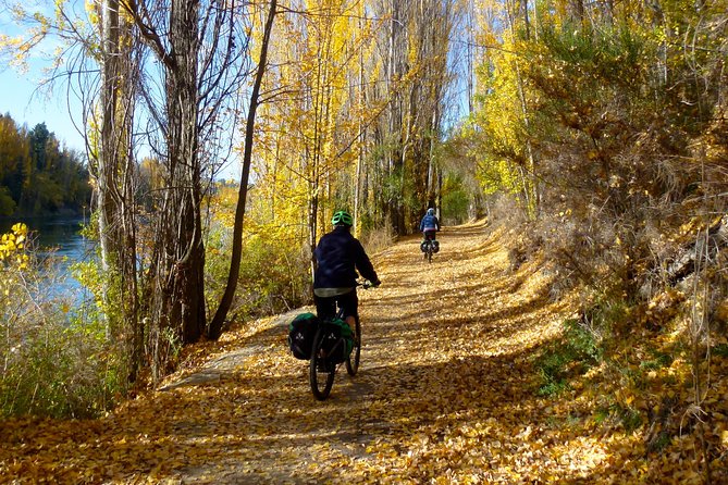 Otago Central Rail Trail One Day Wonder Cycle tour - Optional Ophir and the run toward Tiger Hill