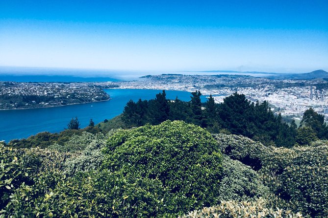 Otago Peninsula Scenery and Dunedin City Highlights Tour - Royal Albatross Centre: understand what is included