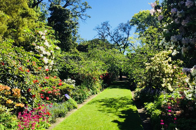 Otago Peninsula Scenery and Dunedin City Highlights Tour - The return via Portobello Road