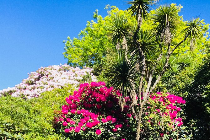 Otago Peninsula Scenery and Dunedin City Highlights Tour - What the minivan experience is really like