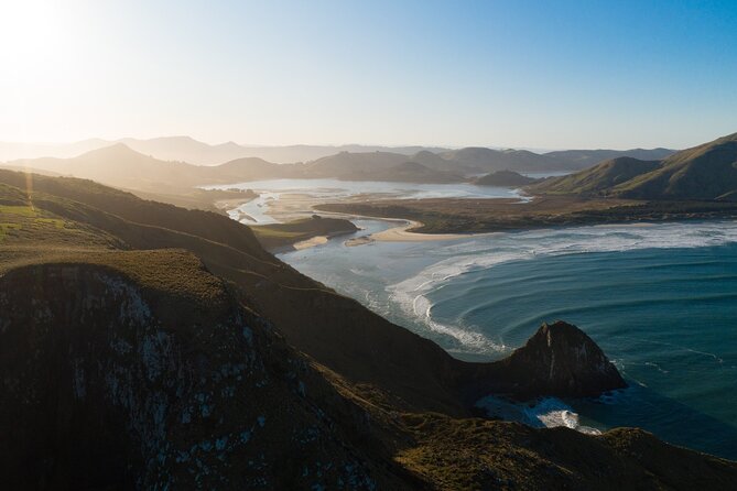 Otago Peninsula Wildlife Cruise with Monarch - The crew and commentary make the difference