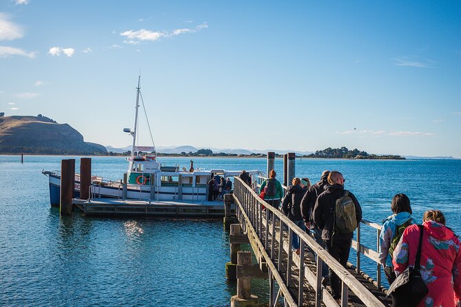 Otago Peninsula Wildlife Cruise with Monarch - Reaching Wellers Rock Wharf from Dunedin