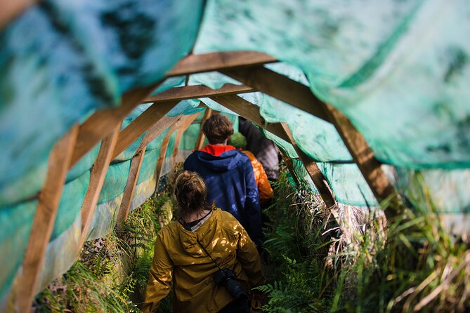 Otago Peninsula Wildlife Tour & Cruise - Key points before you book
