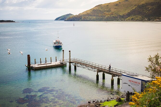 Otago Peninsula Wildlife Tour & Cruise - The MV Monarch cruise toward Taiaroa Head
