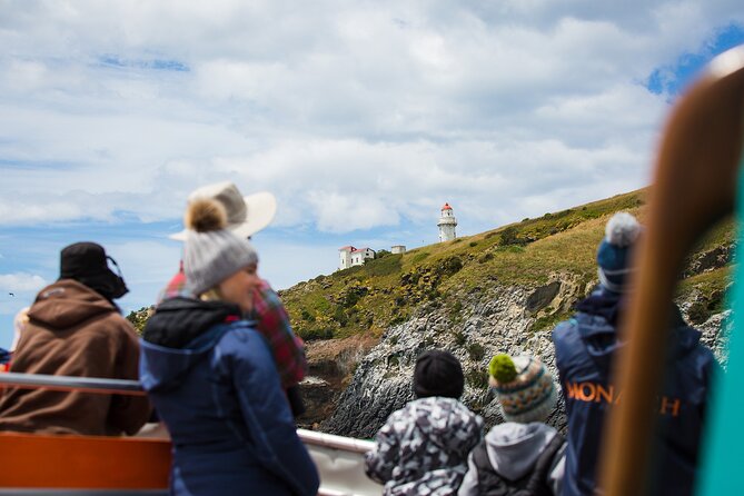 Otago Peninsula Wildlife Tour & Cruise - The yellow-eyed penguin conservation reserve