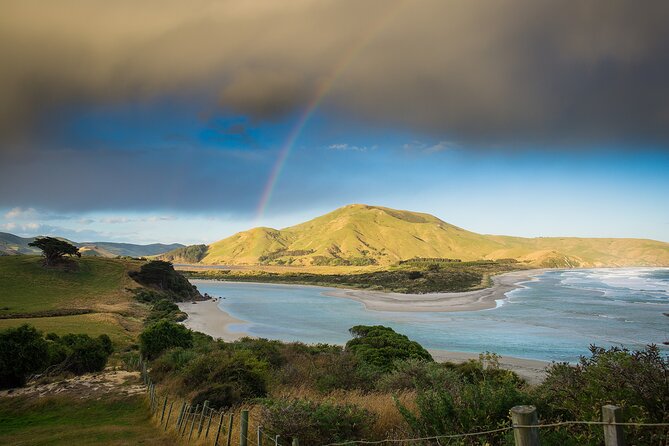 Otago Peninsula Wildlife Tour & Cruise - How the six-and-a-half-hour schedule feels