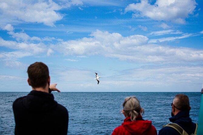 Otago Peninsula Wildlife Tour & Cruise - Guides, group size, and comfort