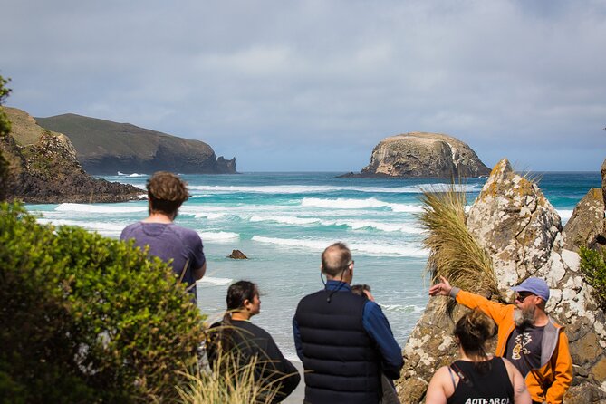 Otago Peninsula Wildlife Tour & Cruise - Allans Beach and New Zealand sea lions