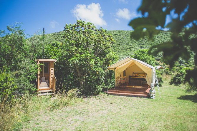 Overnight Experience Tour on Kapiti Island - Day one: packed lunch, island orientation, and forest walks