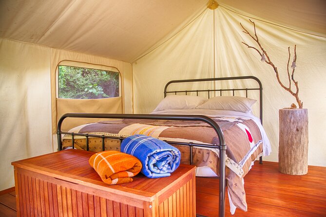 Overnight Experience Tour on Kapiti Island - Choosing between an en suite, cabin, and luxury tent