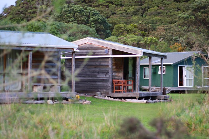 Overnight Experience Tour on Kapiti Island - Reaching Kapiti Island from Paraparaumu Beach