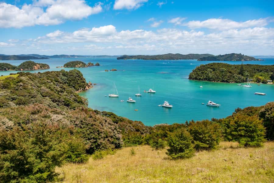 Paihia: Bay of Islands Dolphin Eco Cruise & Island Stopover - A full day out from Paihia, not just a dolphin search
