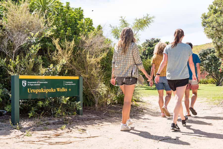 Paihia: Bay of Islands Dolphin Eco Cruise & Island Stopover - Urupukapuka Island and Otehei Bay