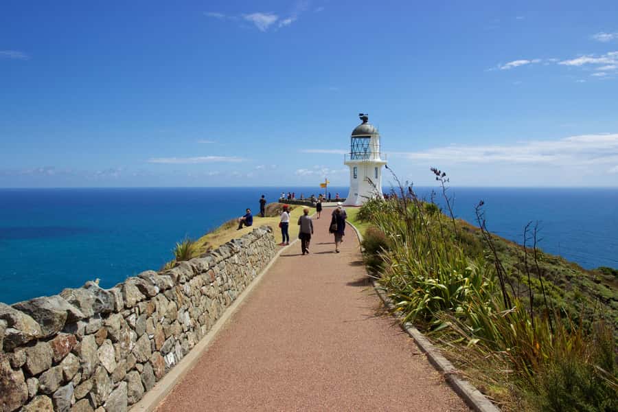 Paihia: Cape Reinga and Ninety Mile Beach Trip with Lunch - Key points at a glance