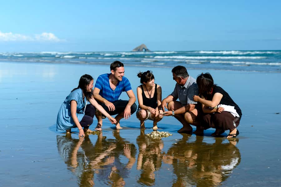 Paihia: Cape Reinga and Ninety Mile Beach Trip with Lunch - Lunch beside a beautiful beach