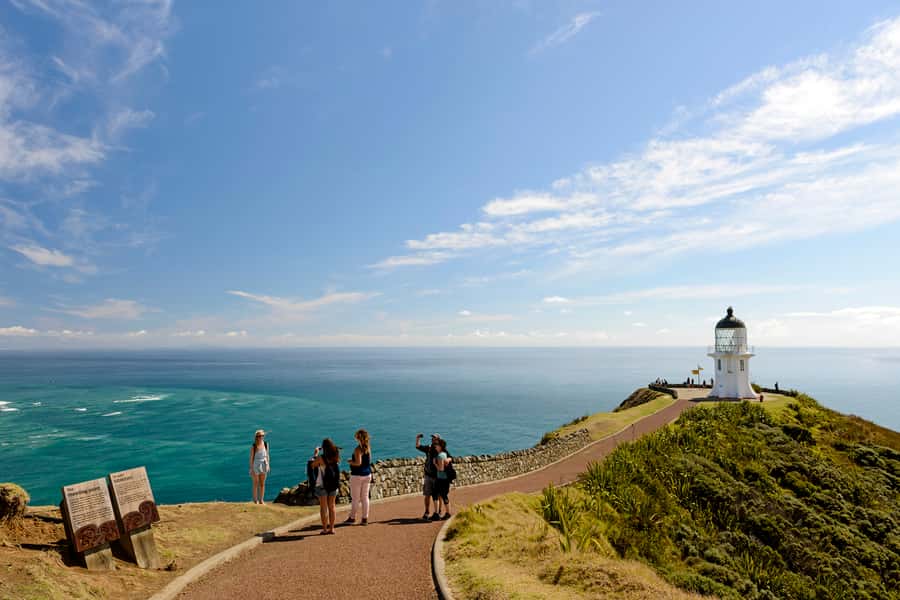 Paihia: Cape Reinga and Ninety Mile Beach Trip with Lunch - The long road north from Paihia