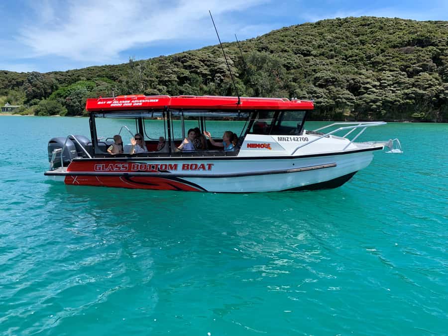 Paihia: Glass Bottom Boat Tour to the Hole in the Rock - Key points at a glance