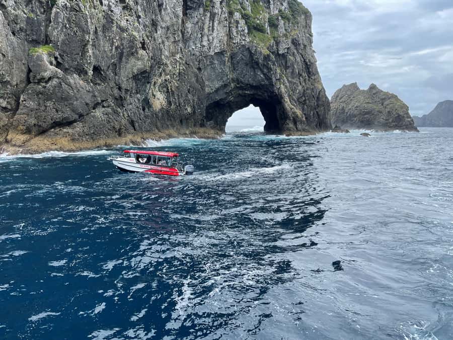 Paihia: Glass Bottom Boat Tour to the Hole in the Rock - Otehei Bay and the glass-bottom viewing