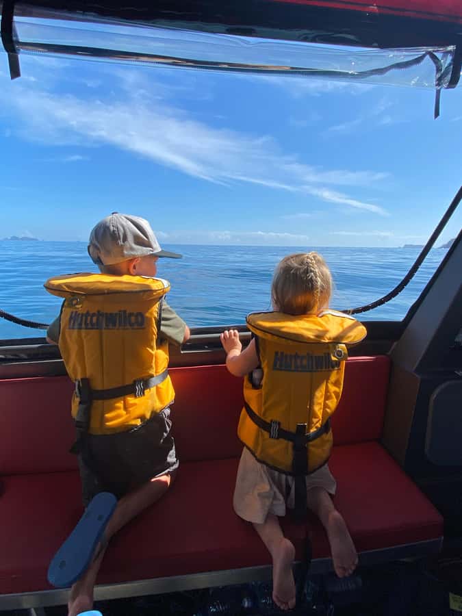 Paihia: Glass Bottom Boat Tour to the Hole in the Rock - Booking details worth knowing