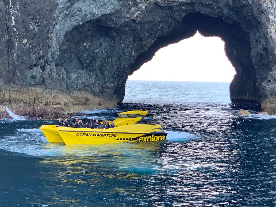 Paihia: Hole in the Rock Fast Boat Ocean Adventure - Why this 90-minute boat trip works so well