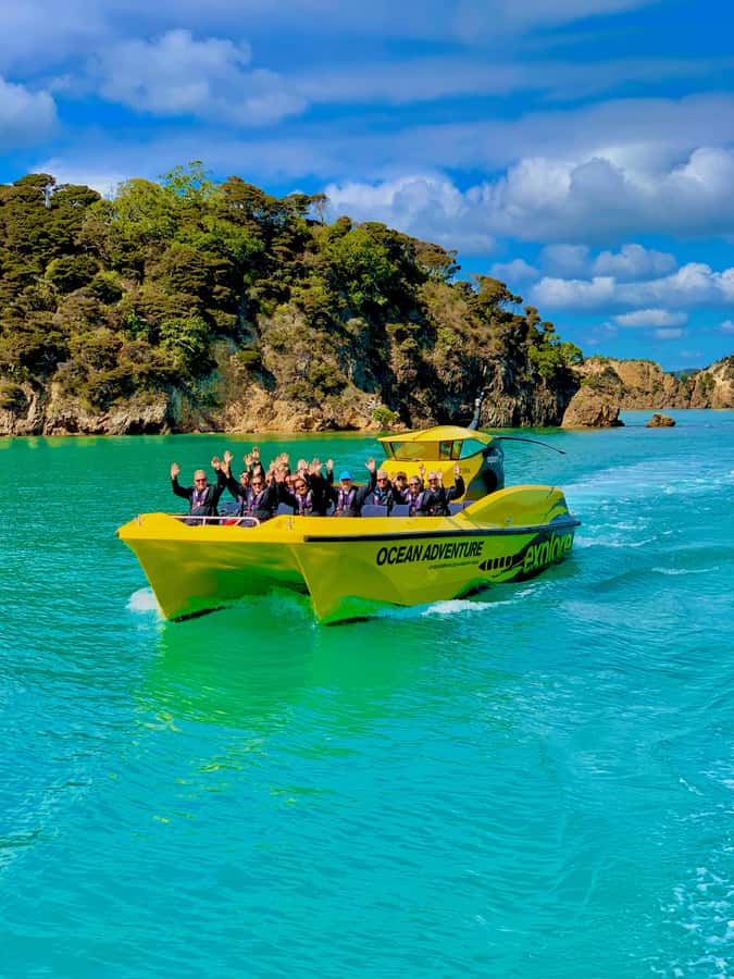 Paihia: Hole in the Rock Fast Boat Ocean Adventure - Wildlife watching at speed