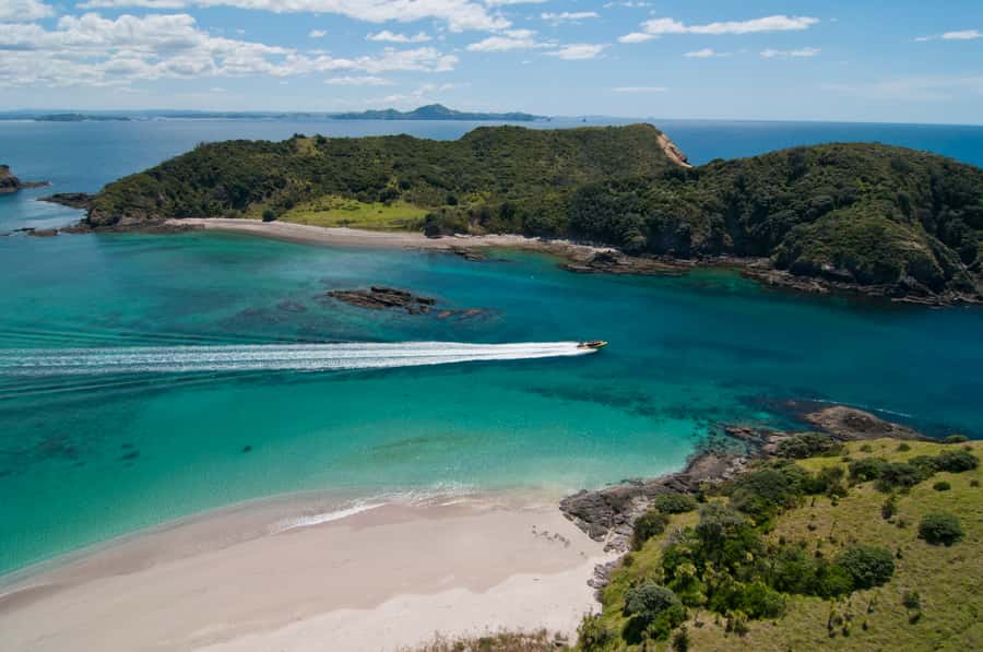 Paihia: Hole in the Rock Fast Boat Ocean Adventure - Is $89 good value?