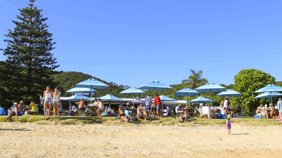Paihia: Hole in the Rock Fast Boat with Island Stopover - Key points to know before booking