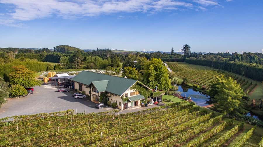Paihia or Kerikeri: Wine, Spirit, & Craft Beer Tour - A four-hour introduction to Bay of Islands drinks