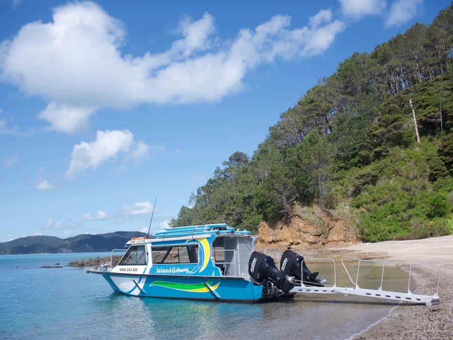 Paihia/Russell: Hole in the Rock Cruise with 2 Island Stops - Is $90 a fair price?