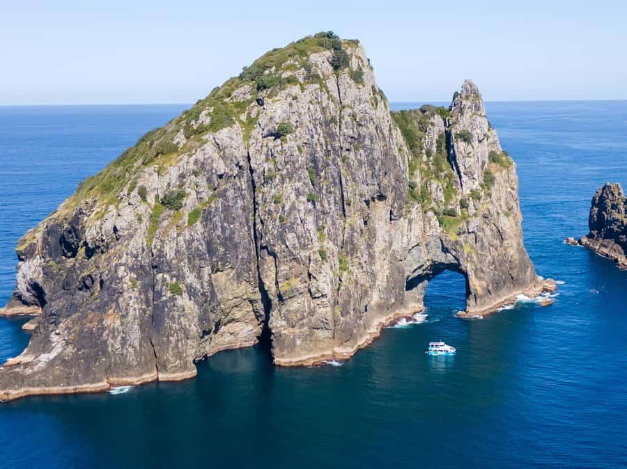 Paihia/Russell: Hole in the Rock Cruise with 2 Island Stops - Why the small boat matters on a four-and-a-half-hour cruise