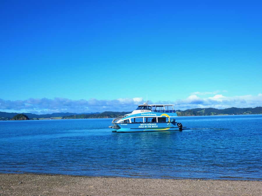Paihia/Russell: Hole in the Rock Cruise with 2 Island Stops - Wildlife watching without false promises
