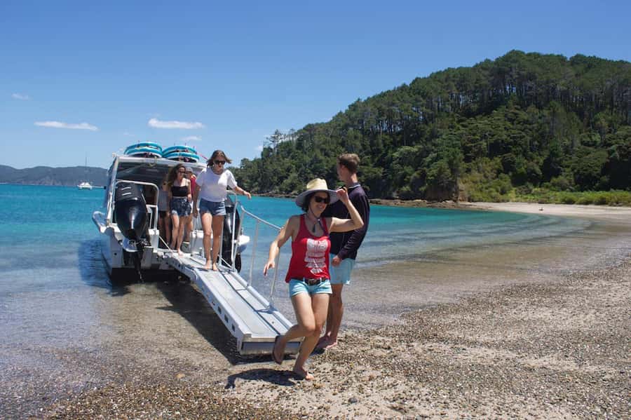 Paihia/Russell: Hole in the Rock Cruise with 2 Island Stops - The return cruise and a useful Russell option