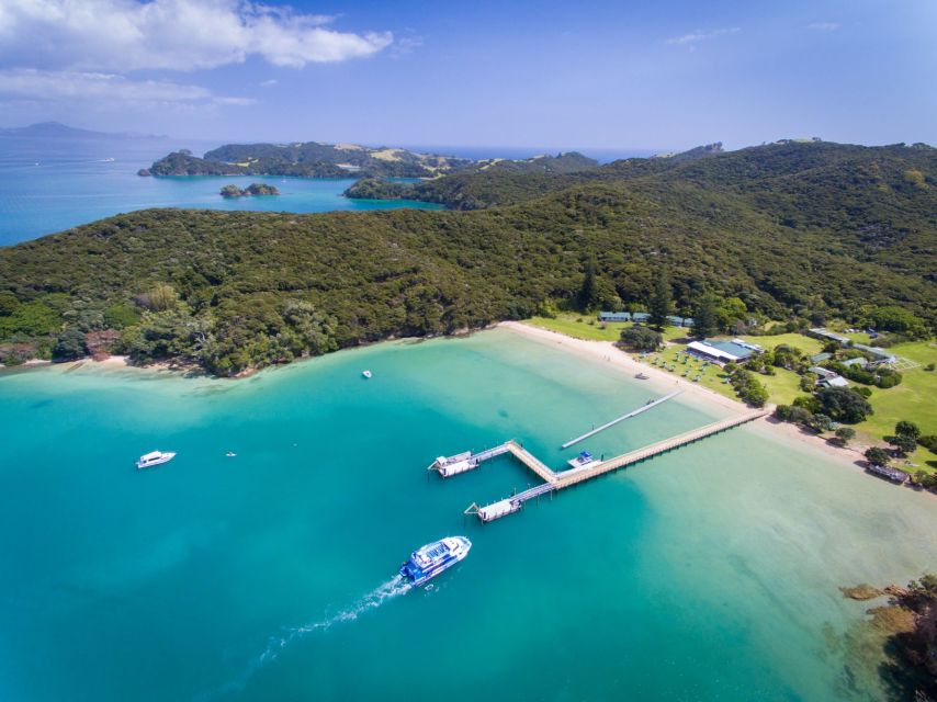 Paihia/Russell: Hole in the Rock, Dolphins & Island Cruise - Urupukapuka Island gives the trip breathing room