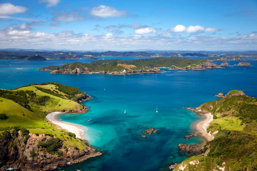 Paihia/Russell: Hole in the Rock, Dolphins & Island Cruise - What the catamaran is like on the water